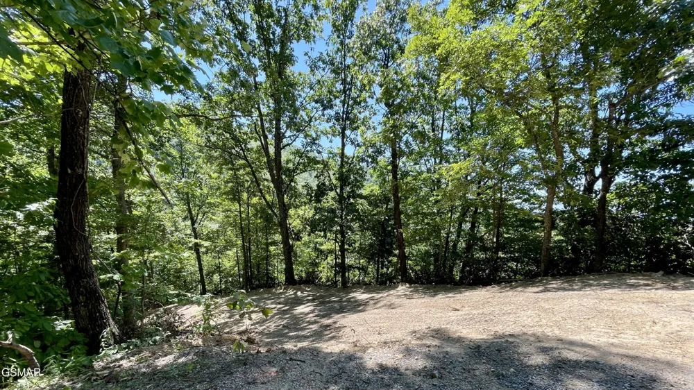 2324 Red Maple Lane Sevierville, TN 37876