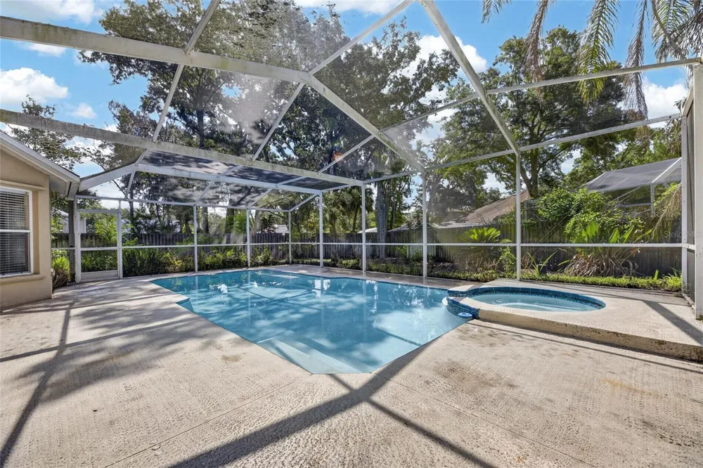12519 RIVER BIRCH DRIVE Riverview, FL 33569