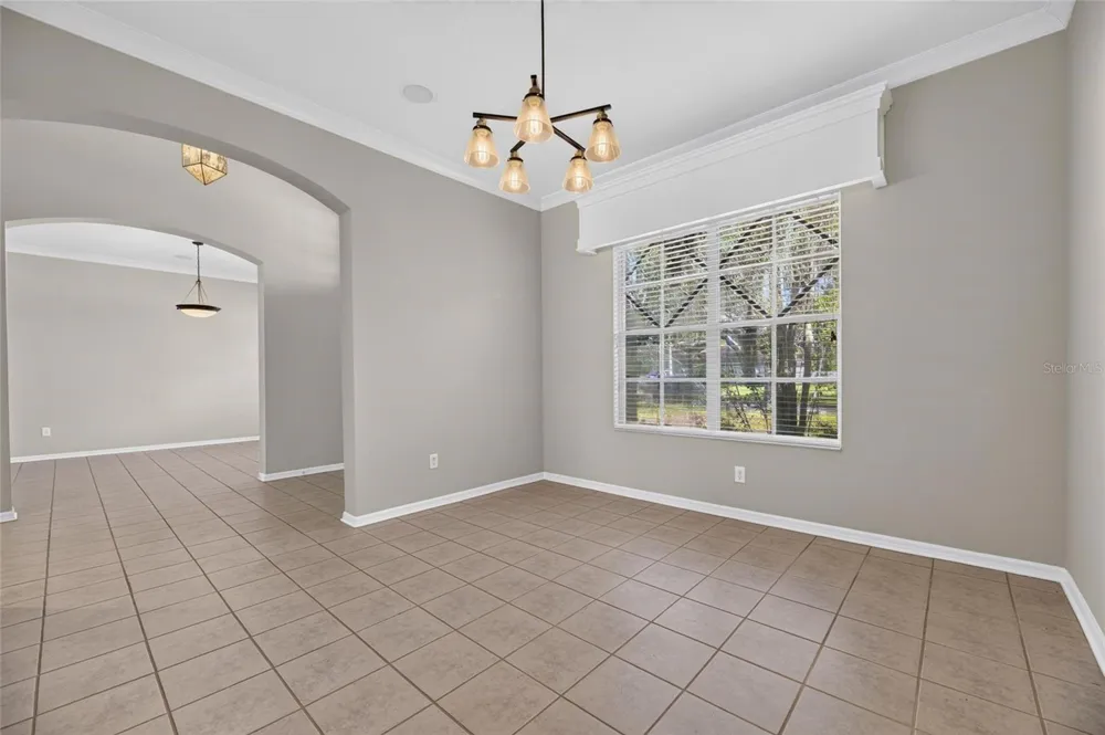 12519 RIVER BIRCH DRIVE Riverview, FL 33569
