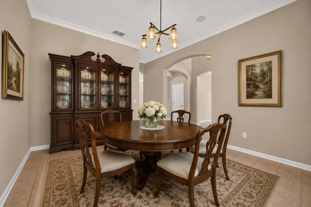 12519 RIVER BIRCH DRIVE Riverview, FL 33569