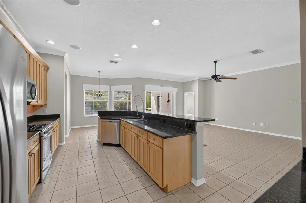 12519 RIVER BIRCH DRIVE Riverview, FL 33569
