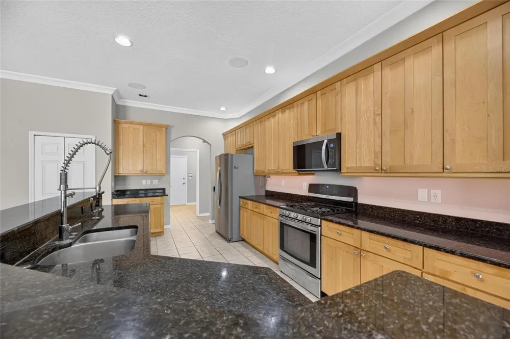 12519 RIVER BIRCH DRIVE Riverview, FL 33569