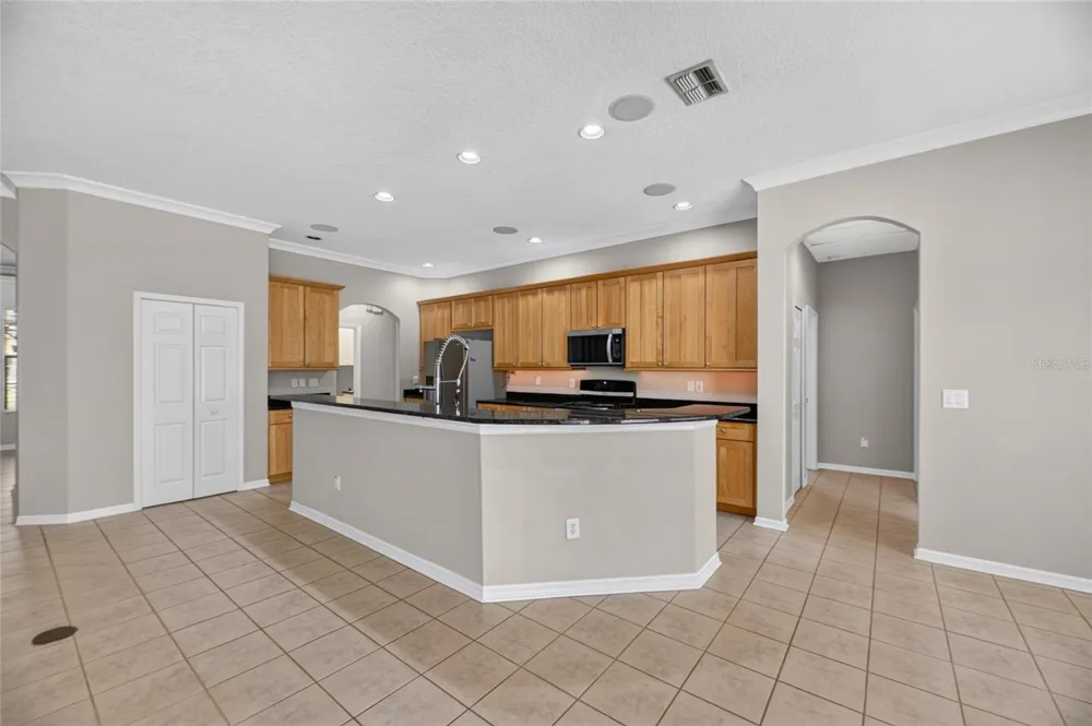 12519 RIVER BIRCH DRIVE Riverview, FL 33569