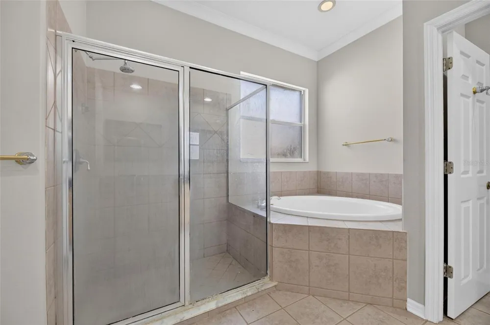 12519 RIVER BIRCH DRIVE Riverview, FL 33569