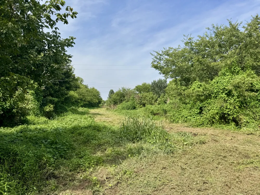 0 Highway 11 S Riceville, TN 37370