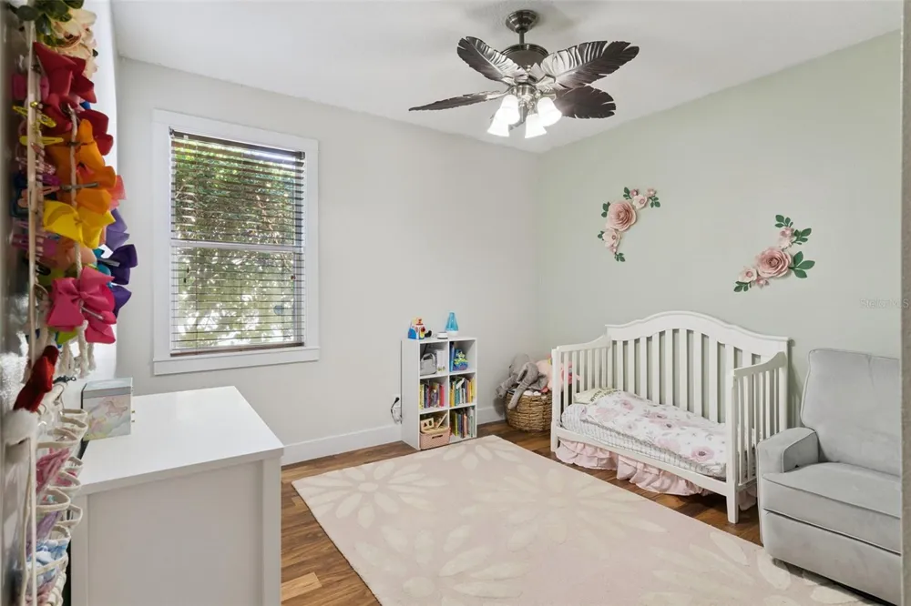 30238 TOKARA TERRACE Mount Dora, FL 32757