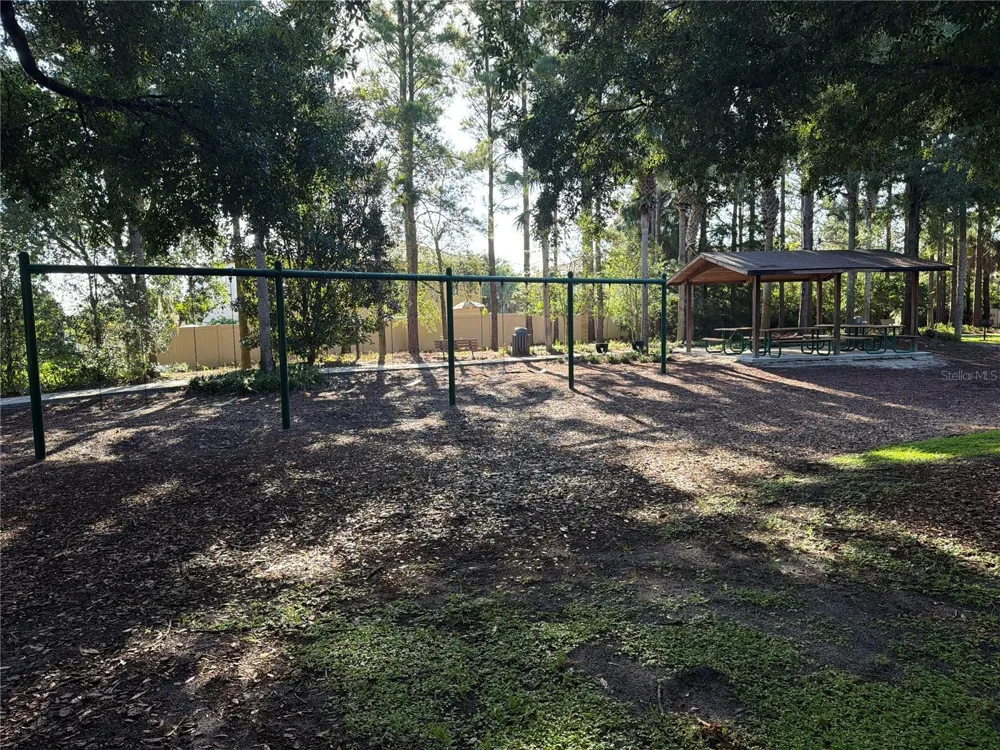 30238 TOKARA TERRACE Mount Dora, FL 32757