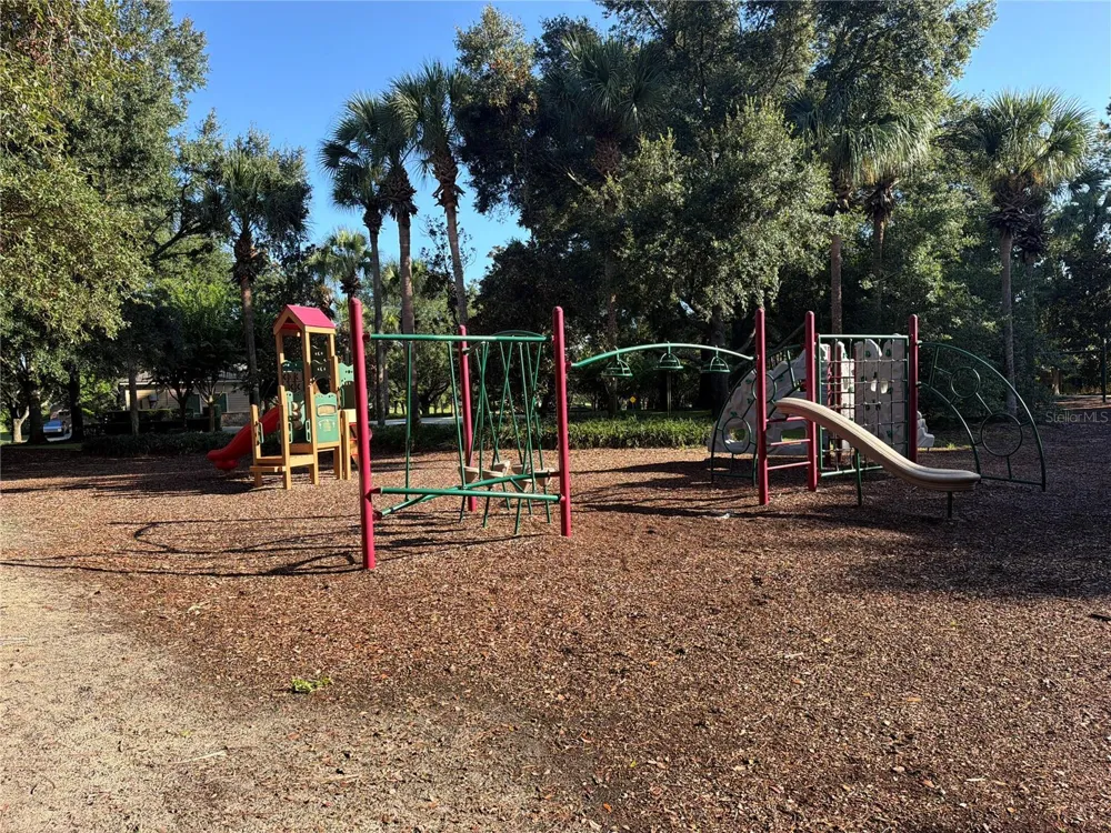30238 TOKARA TERRACE Mount Dora, FL 32757
