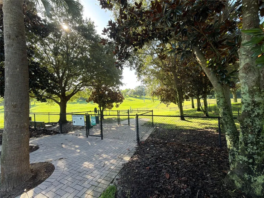30238 TOKARA TERRACE Mount Dora, FL 32757