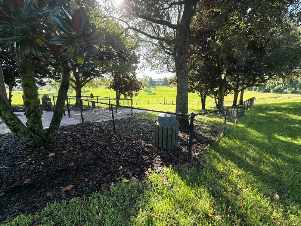30238 TOKARA TERRACE Mount Dora, FL 32757