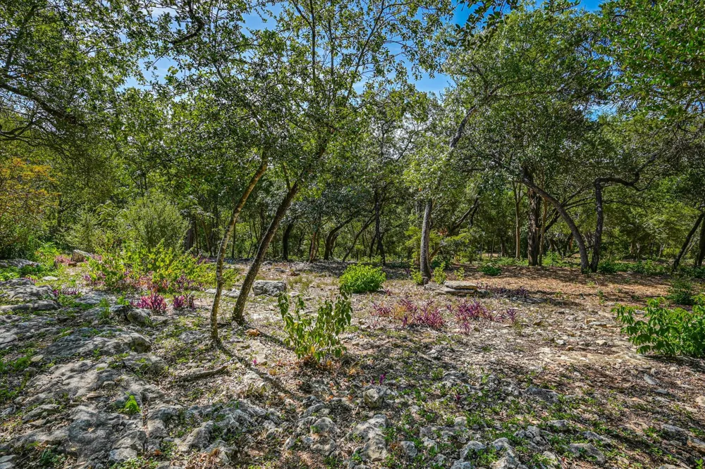 1403 Redbud Trail West Lake Hills, TX 78746
