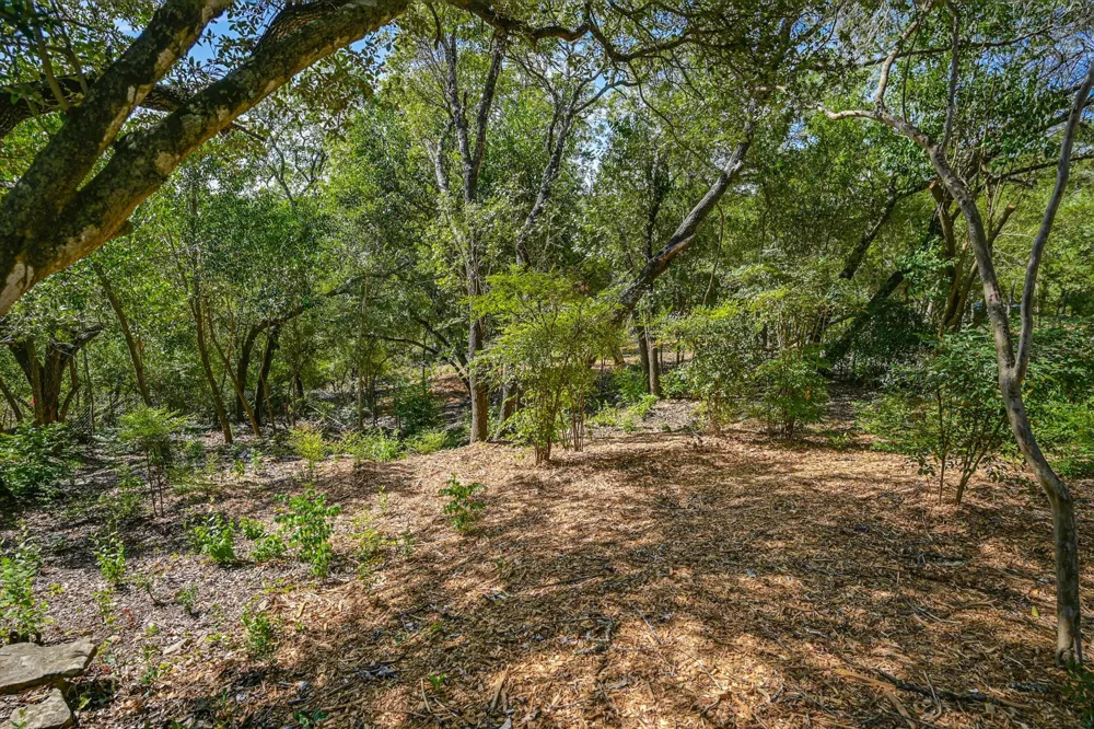 1403 Redbud Trail West Lake Hills, TX 78746