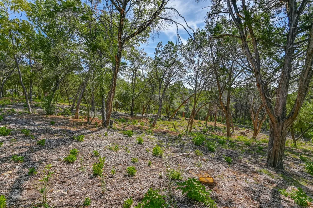 1403 Redbud Trail West Lake Hills, TX 78746