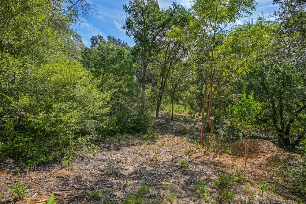 1403 Redbud Trail West Lake Hills, TX 78746