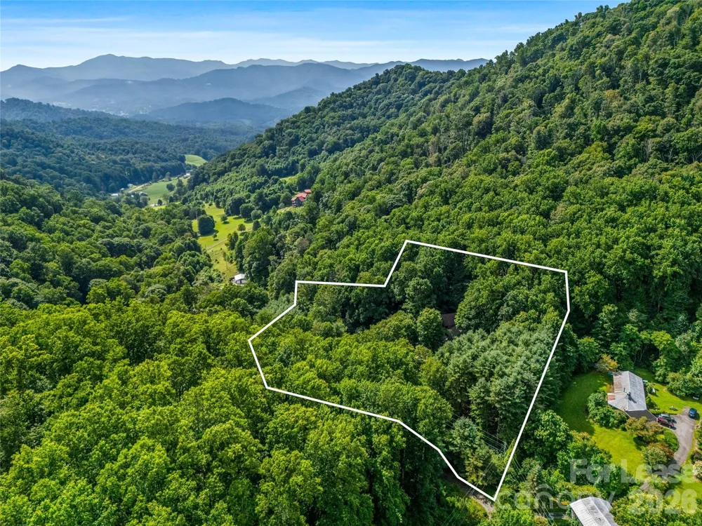 81 Summer Trees Lane Burnsville, NC 28714
