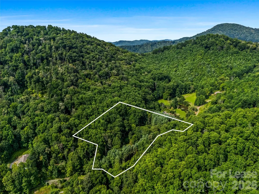 81 Summer Trees Lane Burnsville, NC 28714