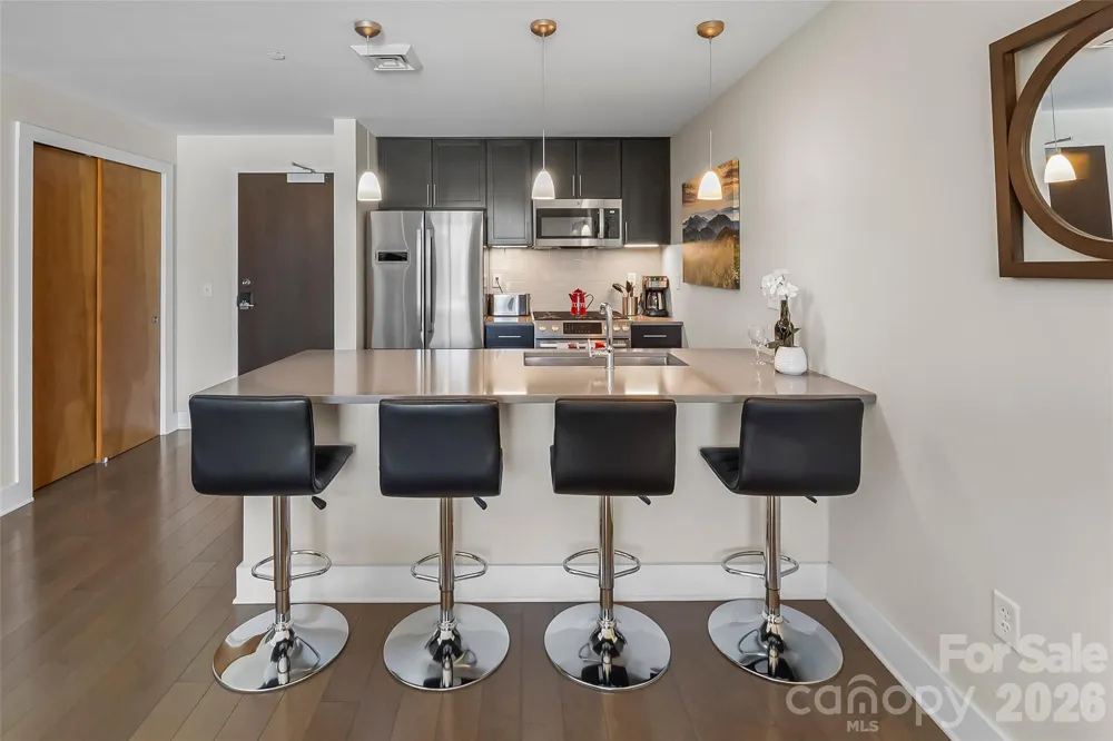 45 Asheland Avenue #401 Asheville, NC 28801