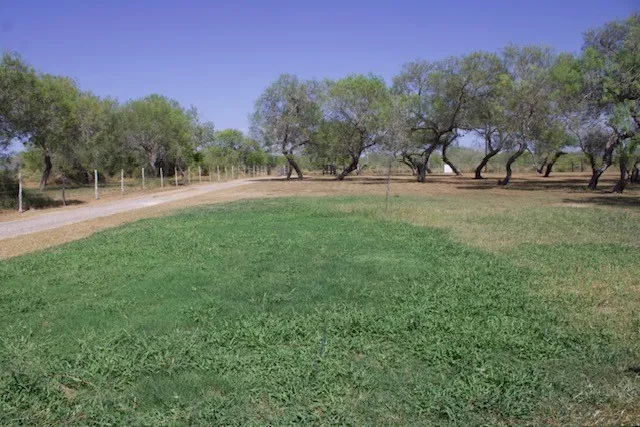 779 S County Road 1145 Riviera, TX 78379