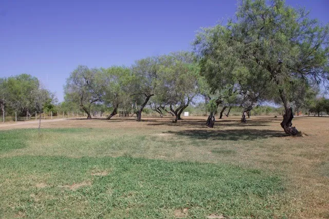 779 S County Road 1145 Riviera, TX 78379