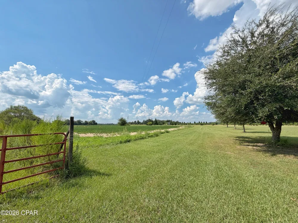 3280 Willie Lane Cottondale, FL 32431