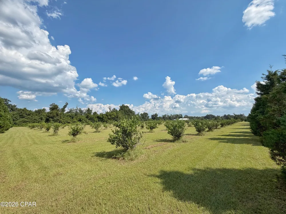 3280 Willie Lane Cottondale, FL 32431