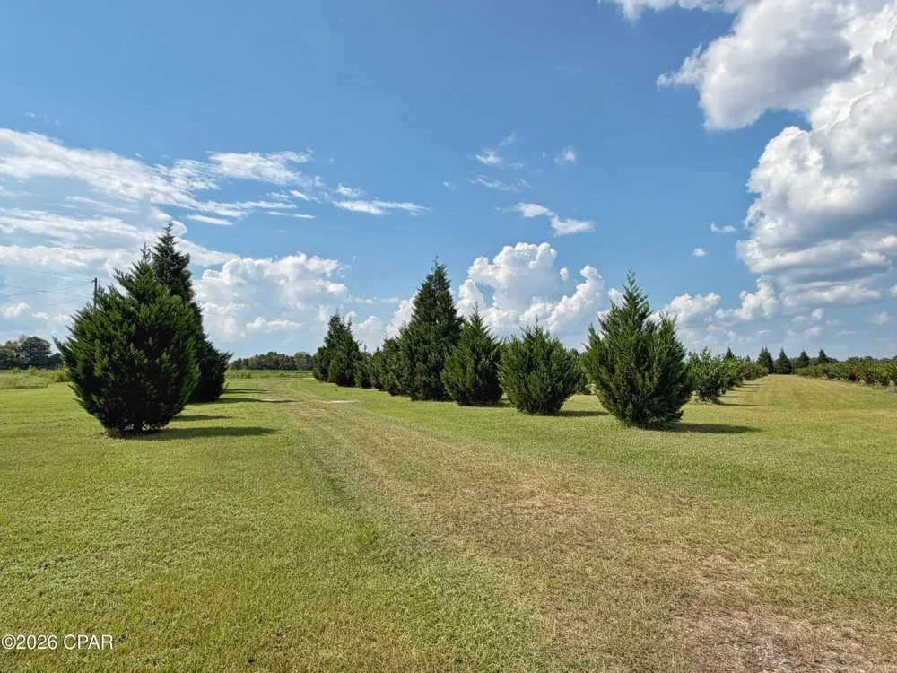 3280 Willie Lane Cottondale, FL 32431