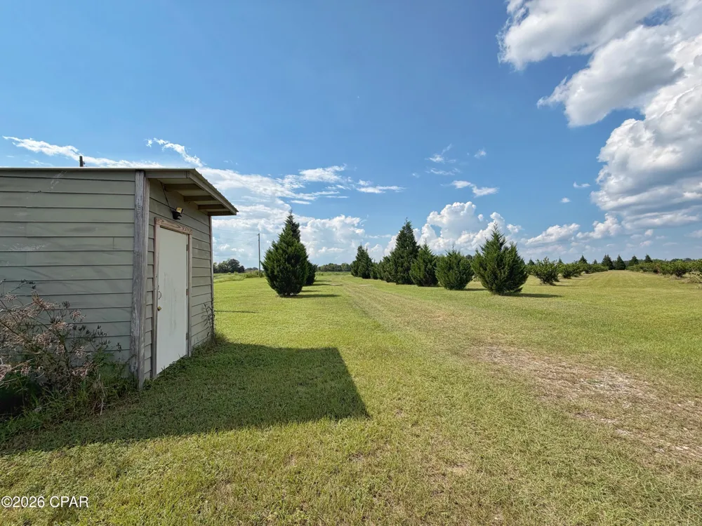 3280 Willie Lane Cottondale, FL 32431