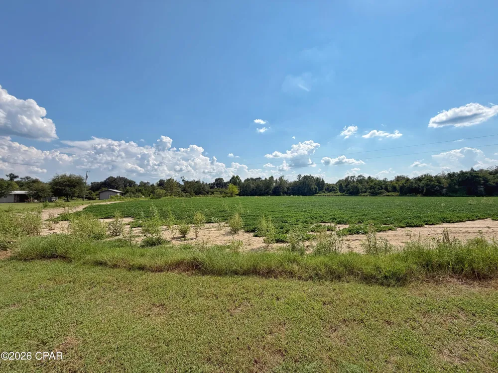 3280 Willie Lane Cottondale, FL 32431