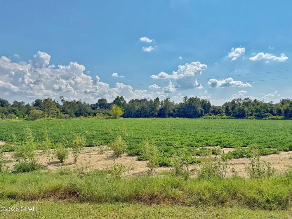 3280 Willie Lane Cottondale, FL 32431