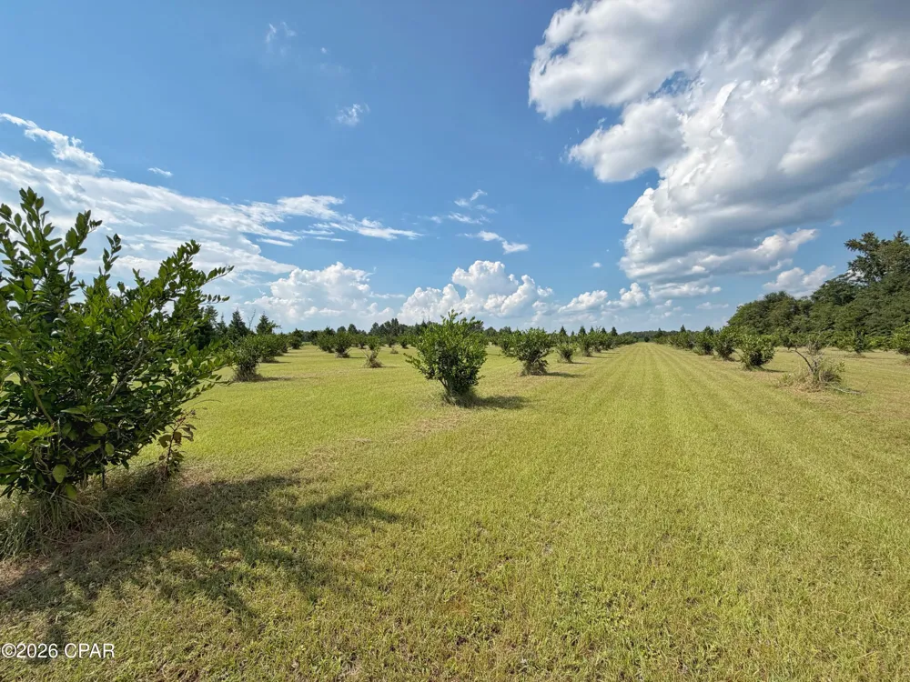 3280 Willie Lane Cottondale, FL 32431