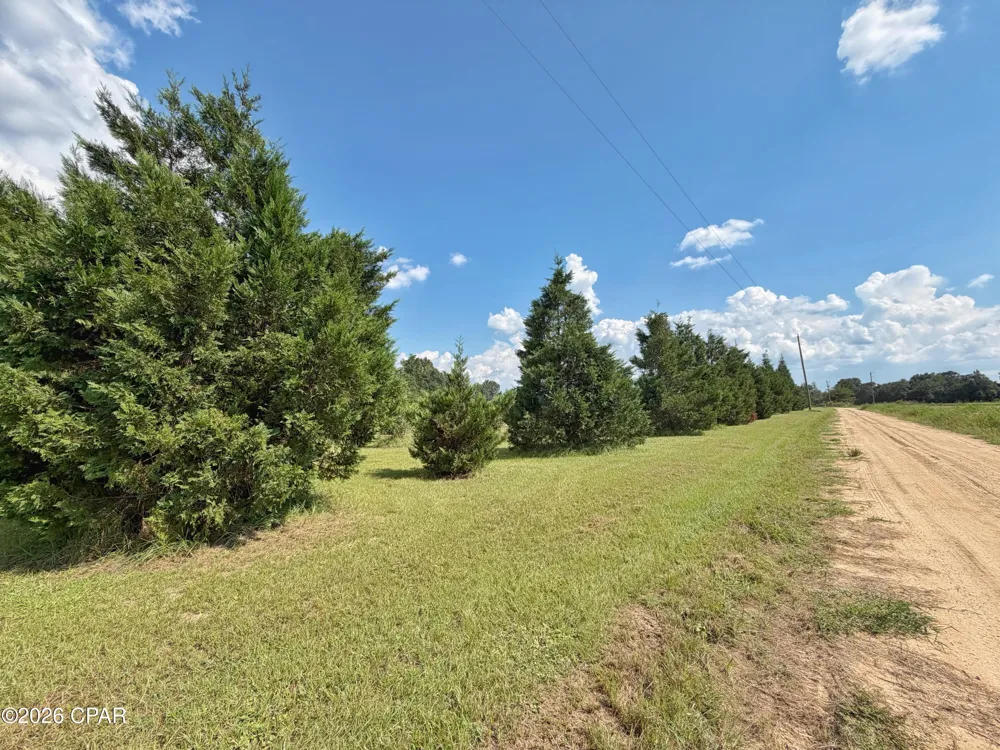 3280 Willie Lane Cottondale, FL 32431