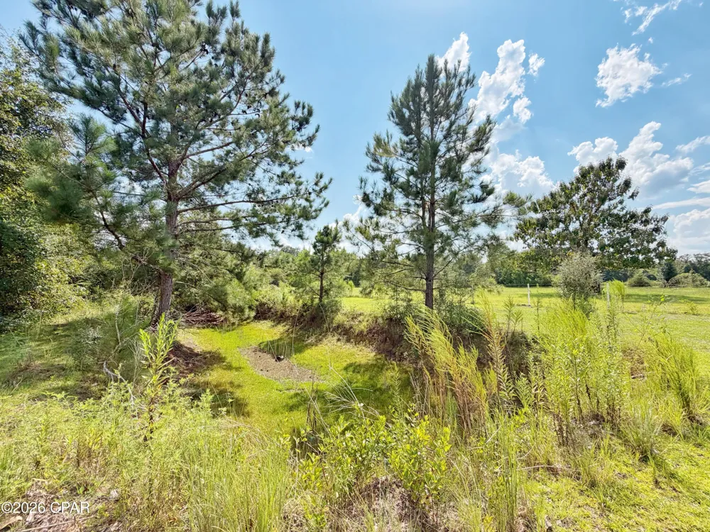 3280 Willie Lane Cottondale, FL 32431
