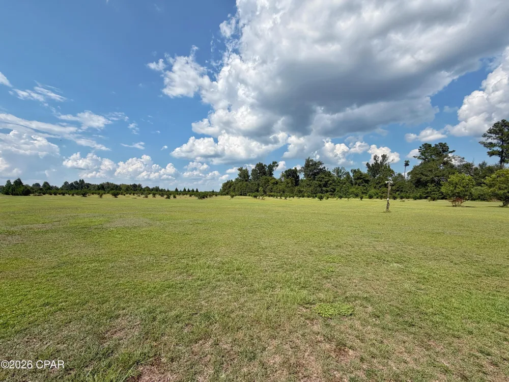 3280 Willie Lane Cottondale, FL 32431