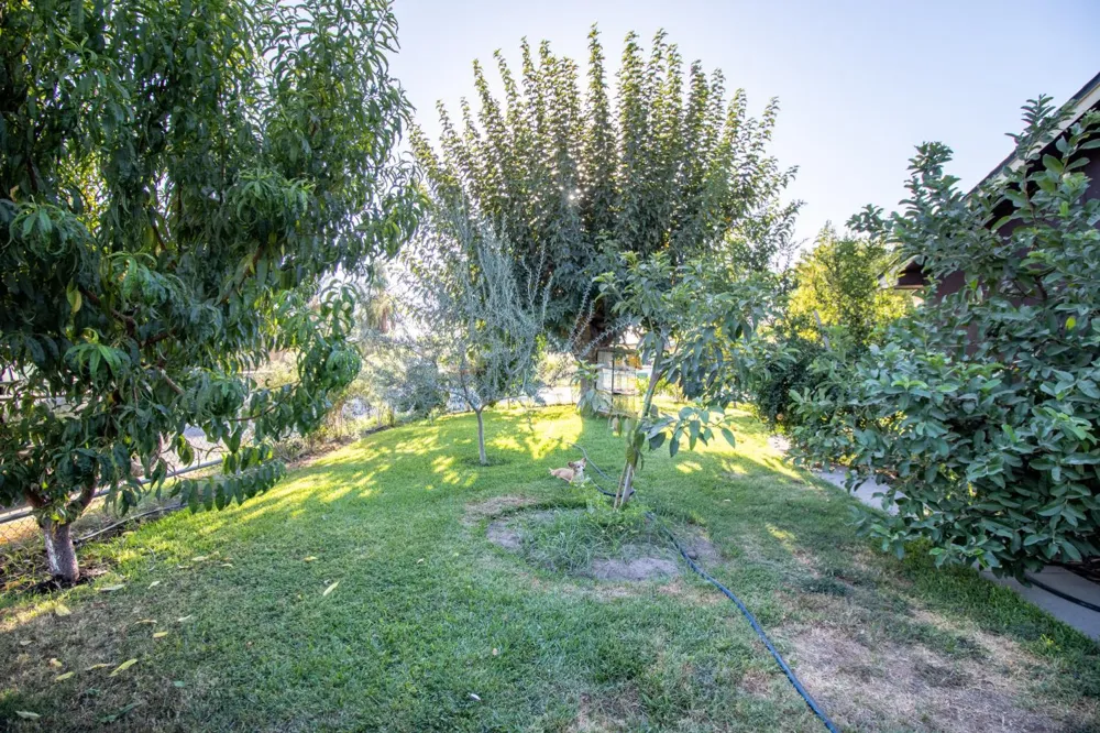 460 Walch Street Porterville, CA 93257
