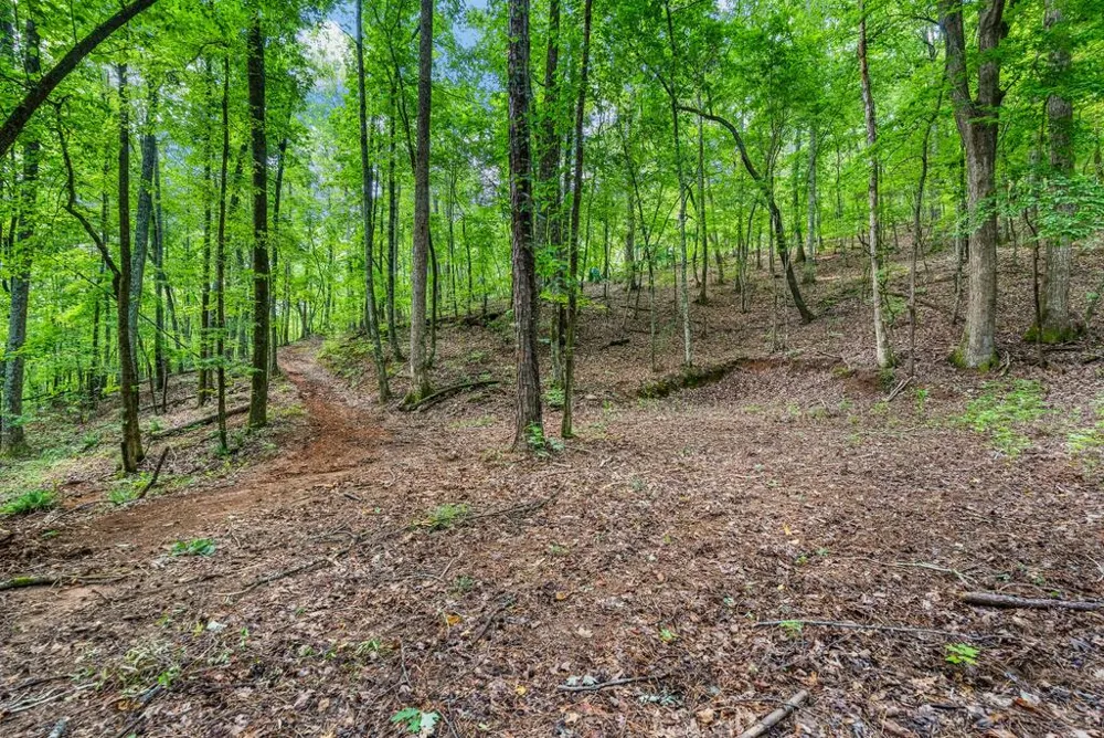 460 Roger Copeland Road Hamilton, GA 31811