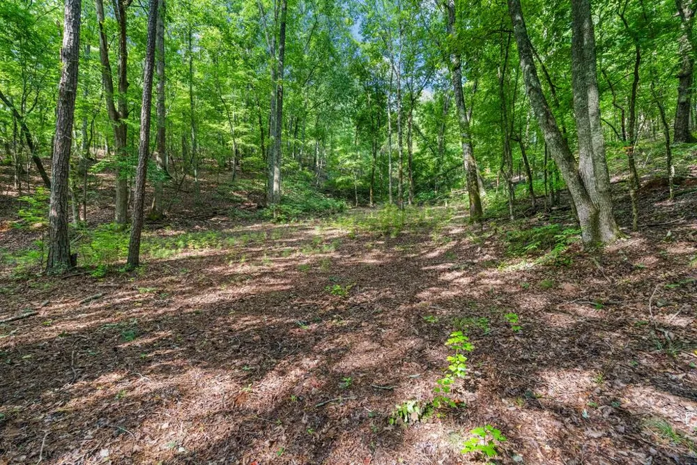 460 Roger Copeland Road Hamilton, GA 31811