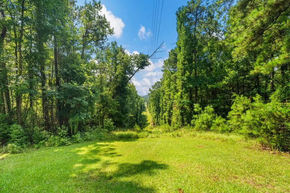 460 Roger Copeland Road Hamilton, GA 31811