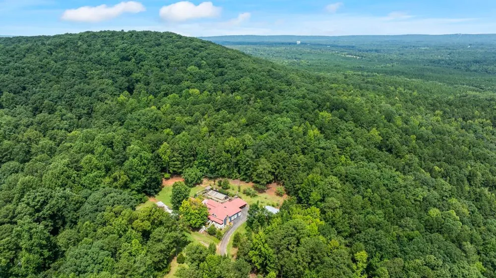 460 Roger Copeland Road Hamilton, GA 31811