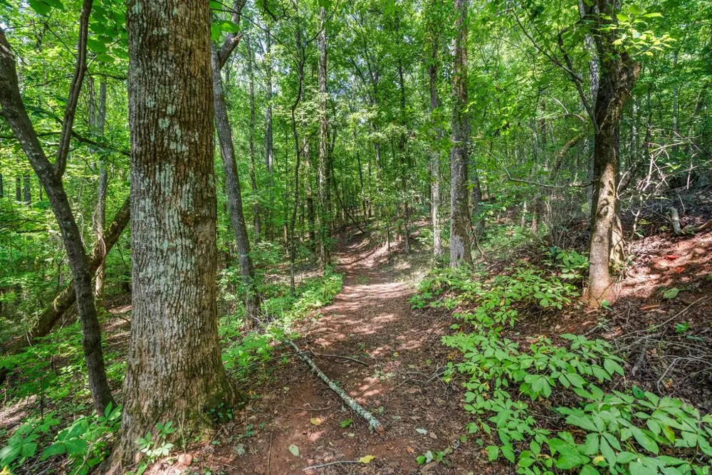 460 Roger Copeland Road Hamilton, GA 31811