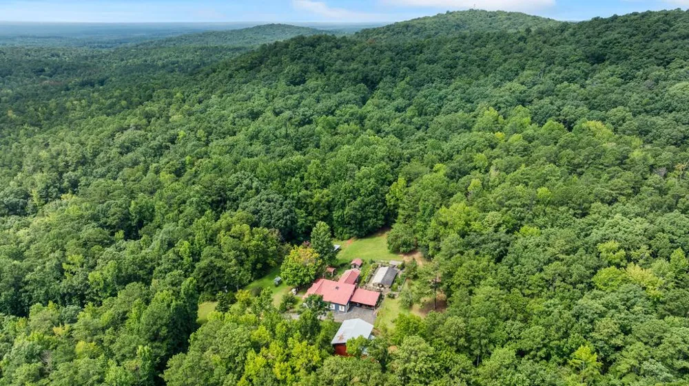 460 Roger Copeland Road Hamilton, GA 31811