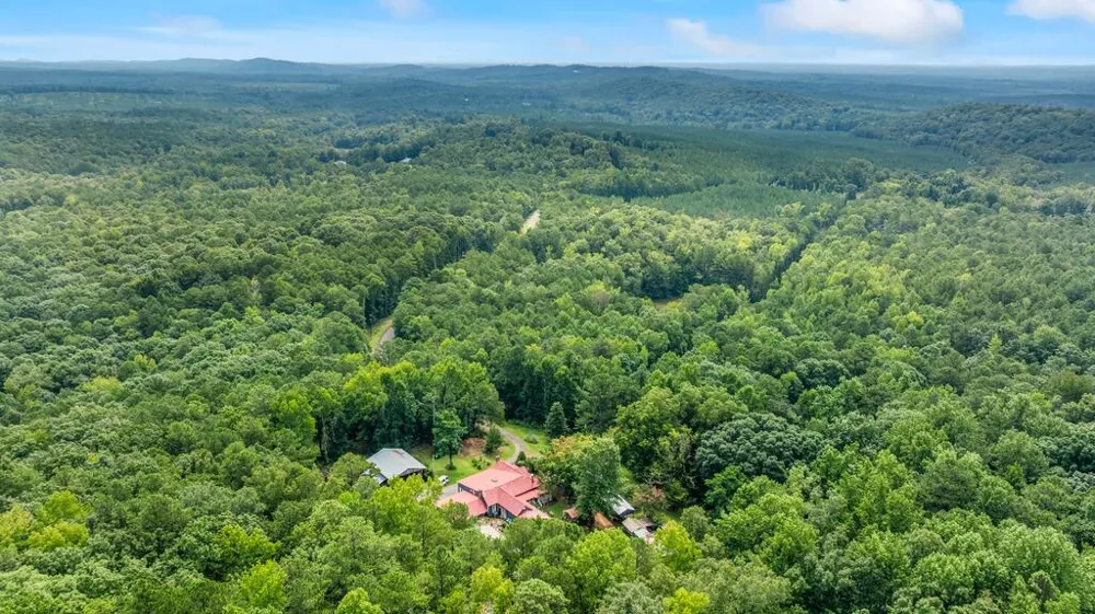 460 Roger Copeland Road Hamilton, GA 31811