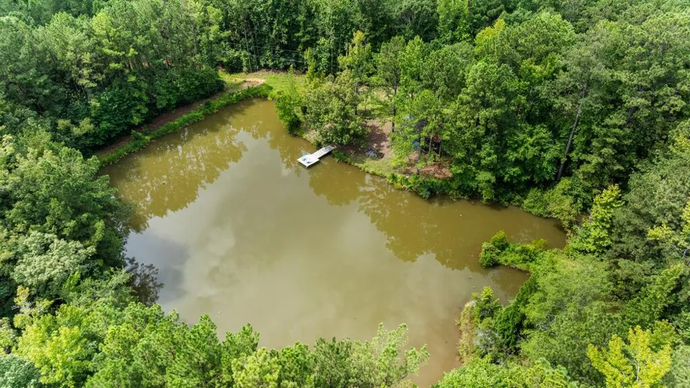 460 Roger Copeland Road Hamilton, GA 31811