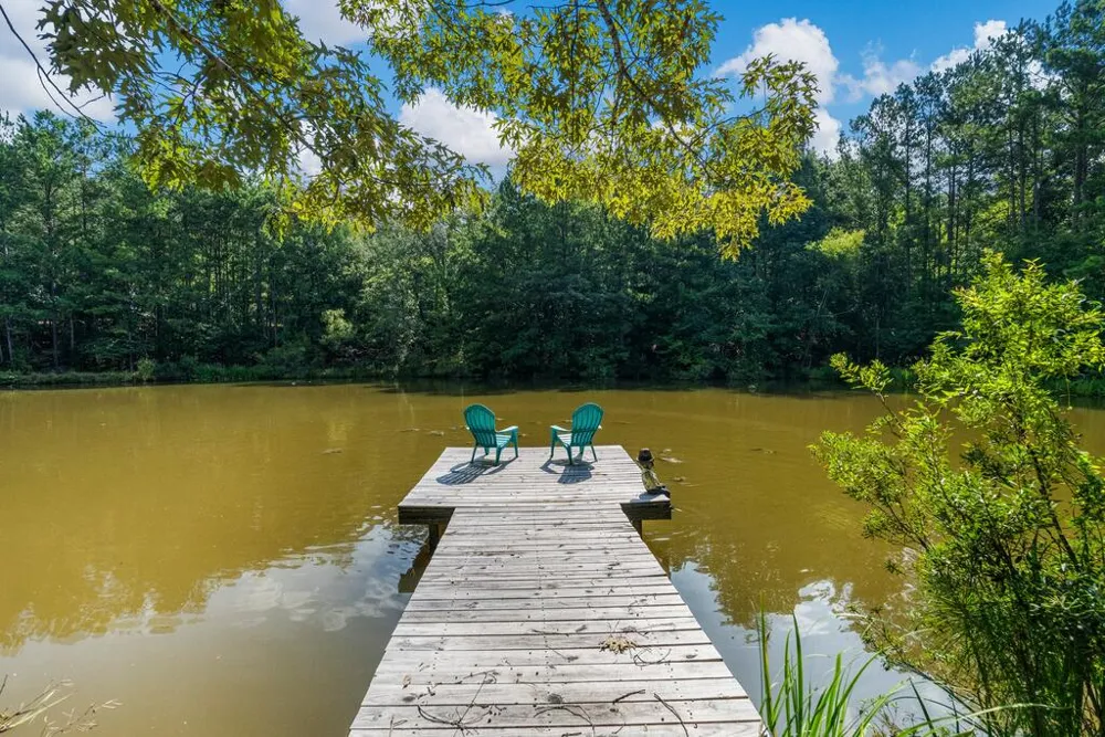 460 Roger Copeland Road Hamilton, GA 31811