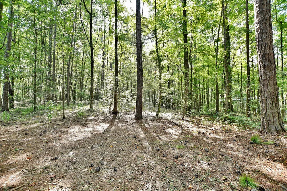 907 Big Sky Drive Hamilton, GA 31811