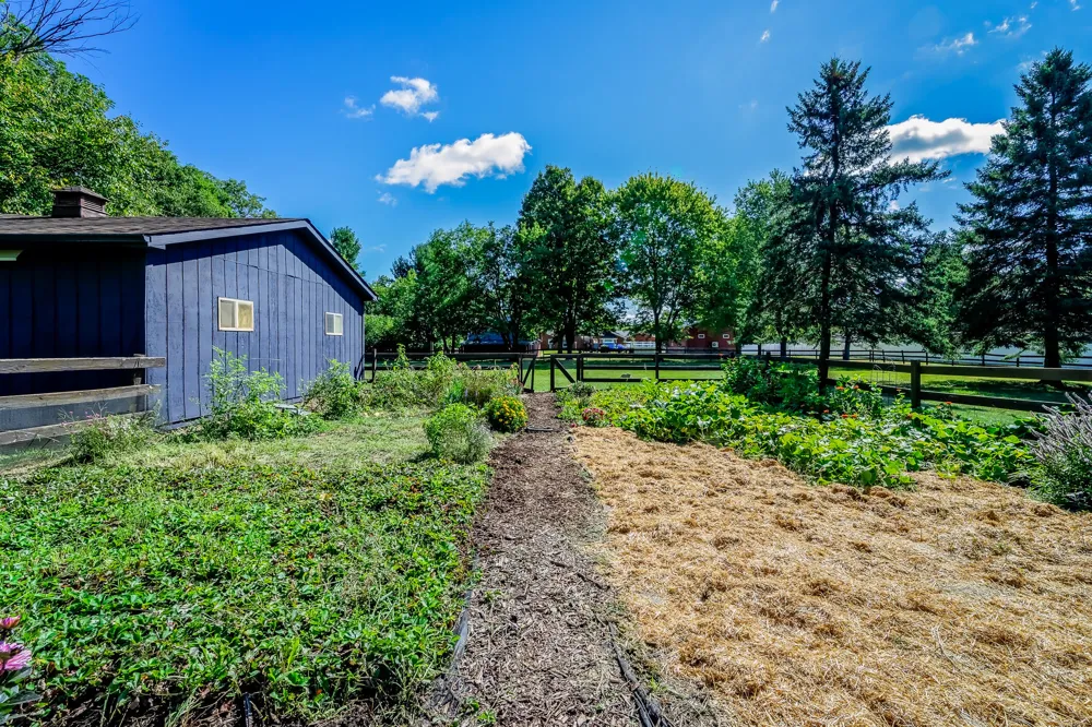 6549 Napier Road Salem Township, MI 48170