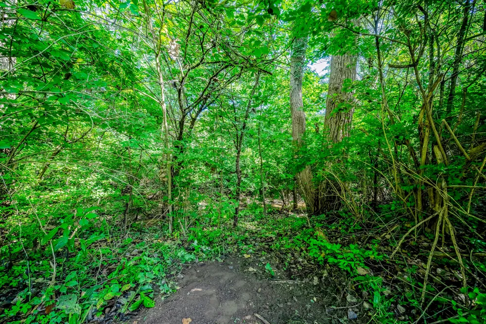 6549 Napier Road Salem Township, MI 48170