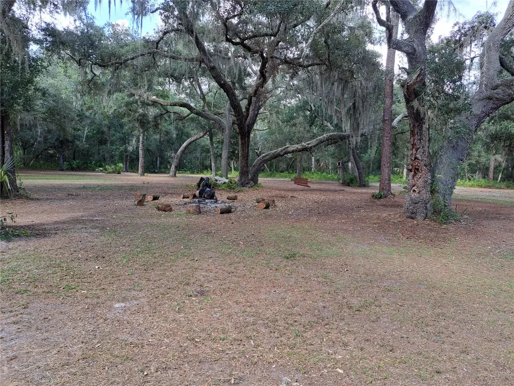 17010 SE 95TH ST RD Ocklawaha, FL 32179