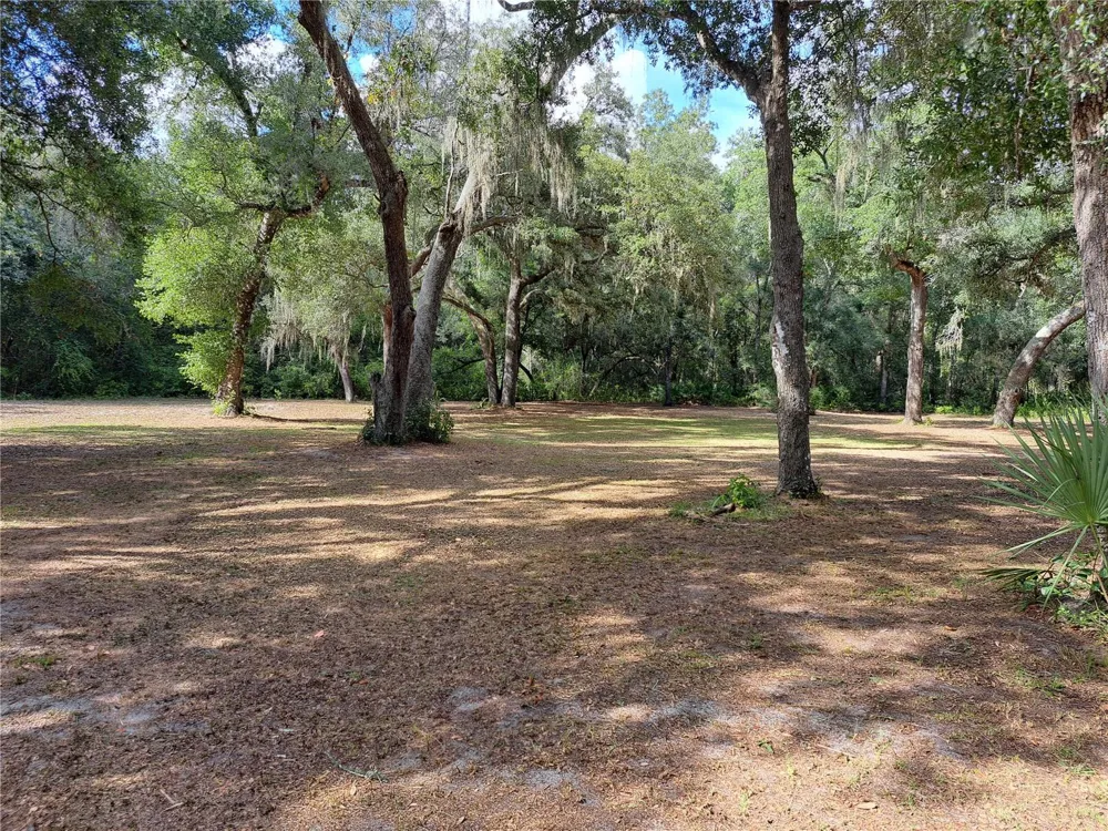 17010 SE 95TH ST RD Ocklawaha, FL 32179