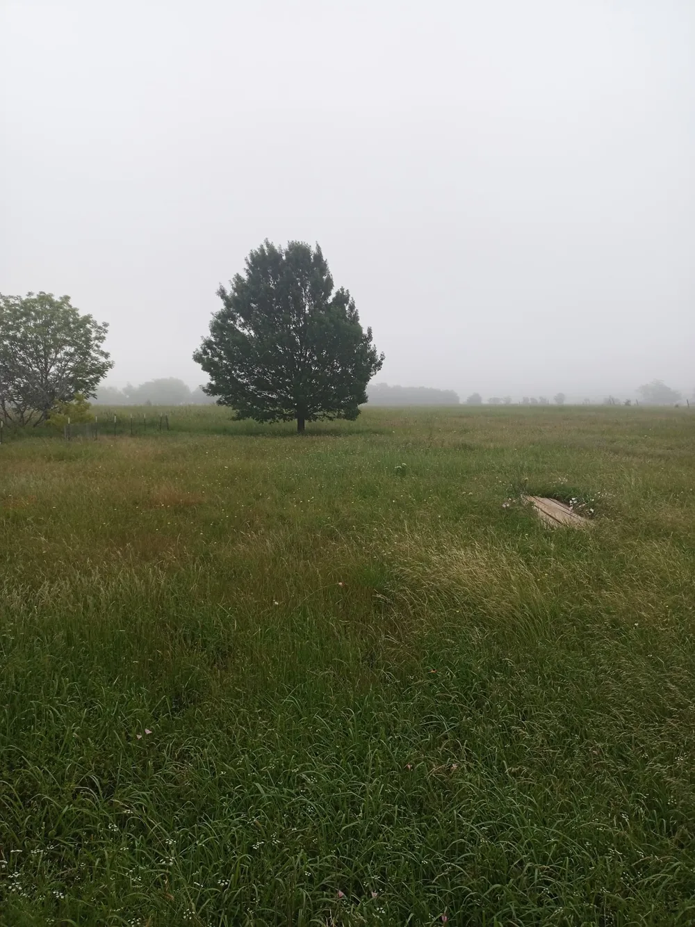 759 COUNTY ROAD 2738 Caddo Mills, TX 75135
