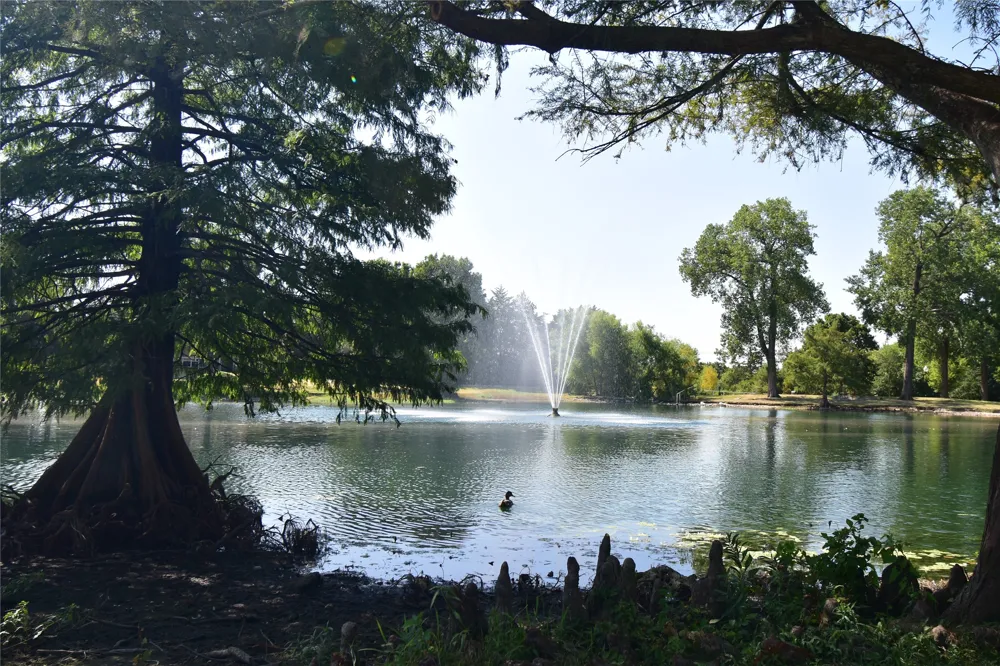 1109 Shadow Lakes Boulevard Allen, TX 75002